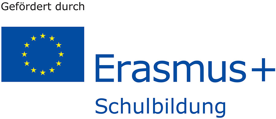  Erasmus